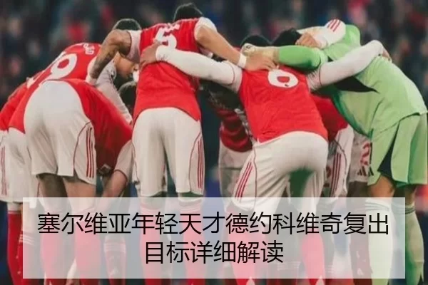 塞尔维亚年轻天才德约科维奇复出目标详细解读
